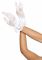 Короткі рукавички Leg Avenue Floral lace wristlength gloves White
