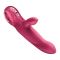 Пульсатор Fun Factory Bi Stronic Arc Raspberry
