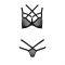 Комплект білизни Passion Exclusive HAGAR SET S/M, black, стрепи, трусики та ліф