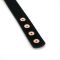Нашийник із затискачами для сосків Liebe Seele Rose Gold Memory Collar with Nipple Clamps, шкіра