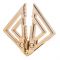 Затискачі для сосків з важкою підвіскою LOCKINK Adjustable Nipple Clamps with Heavy Pendant, під золото