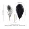 Лоскітка LOCKINK SEVANDA Natural Peacock Flirting Feather Tickler, пір’я павича та страуса