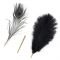 Лоскітка LOCKINK SEVANDA Natural Peacock Flirting Feather Tickler, пір’я павича та страуса