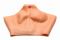 Накладна вагіна Master Series Silicone Vagina + Butt Panties - Small