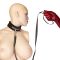 Нашийник із повідцем Punishment – Crystal Collar & Leash – Black, оздоблений кристалами, знімний повідець