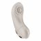 Вібратор у трусики Satisfyer Little Secret Battery Series з пультом ДК