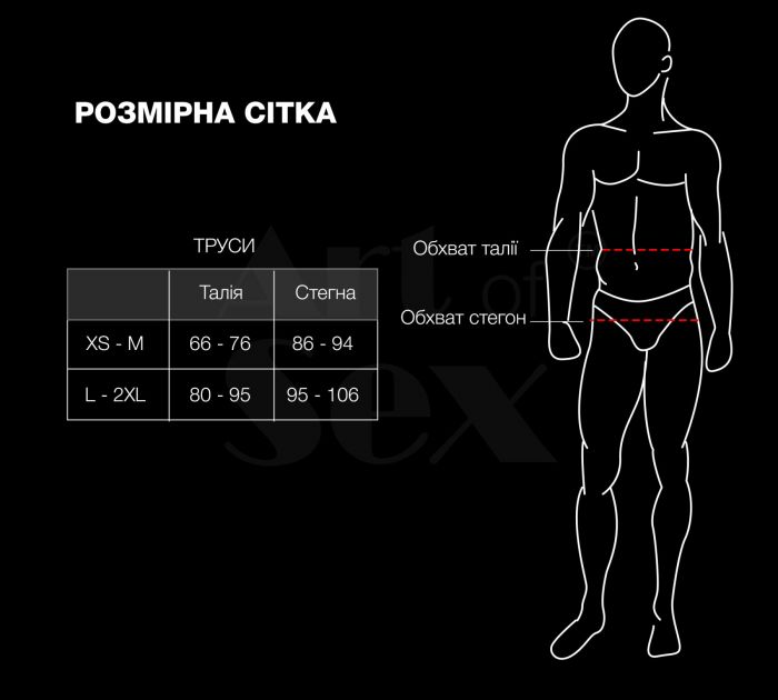 Чоловічі труси з сітки Art of Sex — Demir, колір чорний, розмір L–2XL