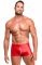 Чоловічі шорти Noir Handmade H097 Ignite shorts XL