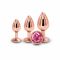 Набір анальних пробок NS Novelties Rear Assets - Trainer Kit - Rose Gold - Pink Gem