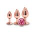 Набір анальних пробок NS Novelties Rear Assets - Trainer Kit - Rose Gold - Pink Gem