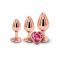 Набір анальних пробок NS Novelties Rear Assets - Trainer Kit - Rose Gold - Pink Heart