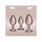Набір анальних пробок NS Novelties Rear Assets - Trainer Kit - Iridescent Champagne - Clear Gem