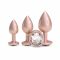 Набір анальних пробок NS Novelties Rear Assets - Trainer Kit - Iridescent Champagne - Clear Gem