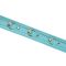Нашийник з повідцем Liebe Seele Blue Lamb Leather Collar with Velvet Lining